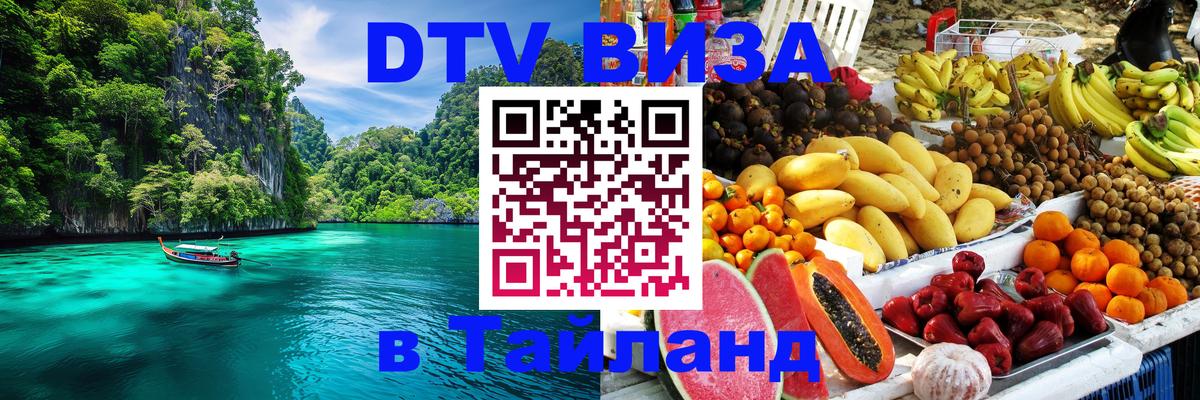 Оформление DTV визы под ключ: стоимость и тарифы, только загранпаспорт - Сан-Сальвадор  12.12.2025 